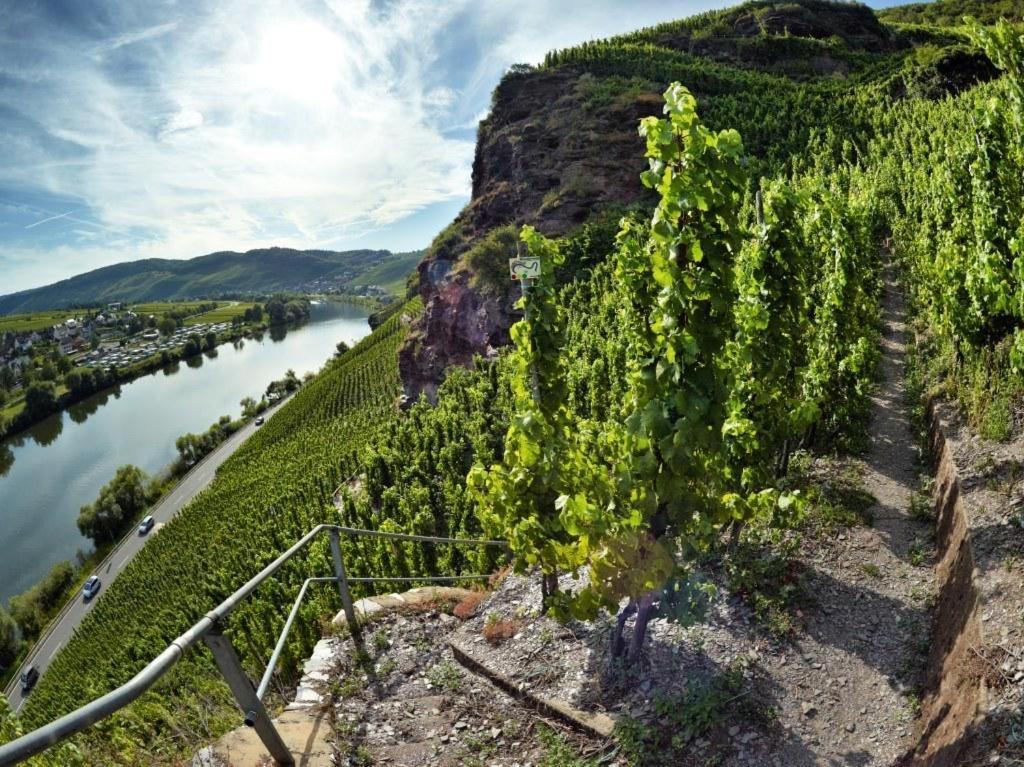 Landhauskiebel Erden エクステリア 写真