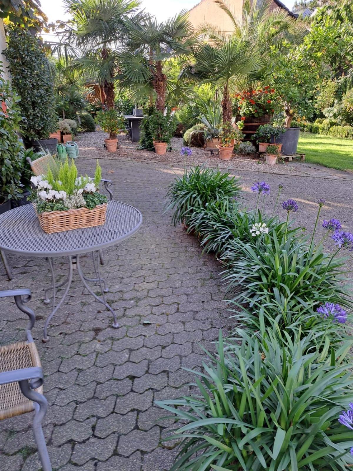 Landhauskiebel Erden エクステリア 写真