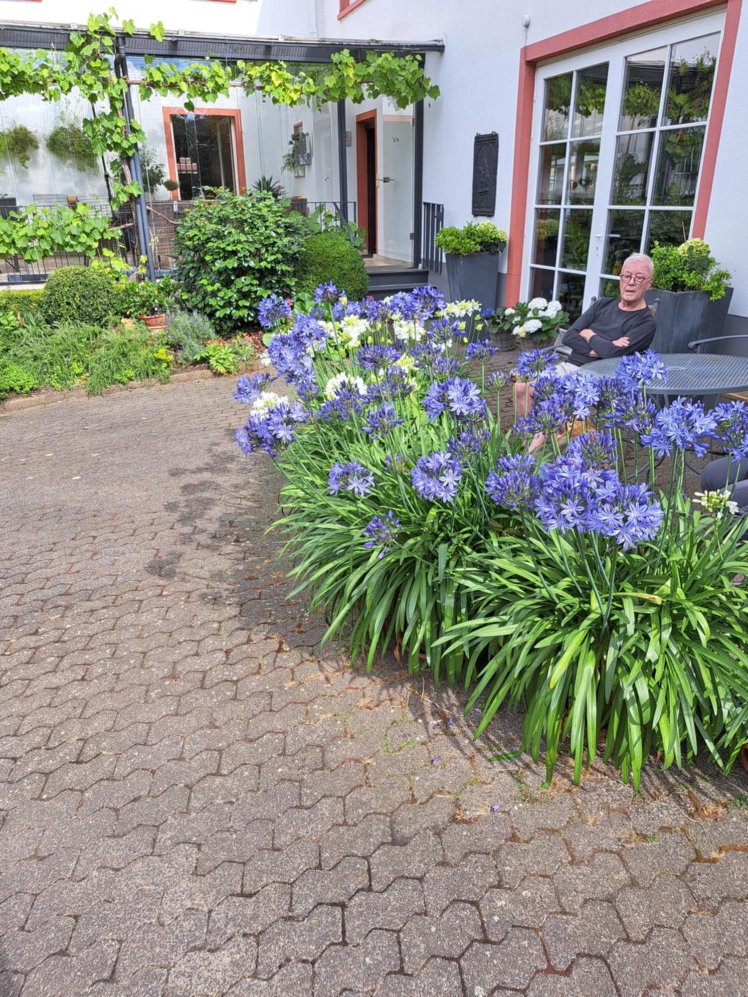 Landhauskiebel Erden エクステリア 写真